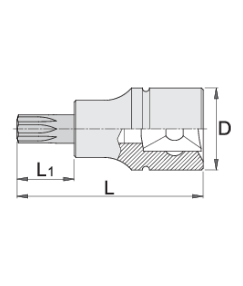 Screwdriver Socket With Tx Profile 1/4&quot; TX 25